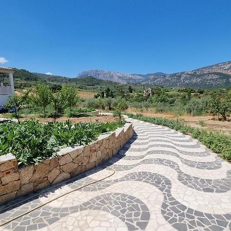 דורגלי Villa Biriculi מראה חיצוני תמונה